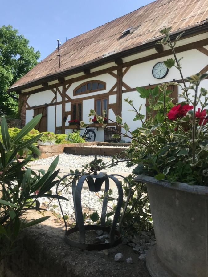 Apartamenty Sudeckie Nad Zalewem I Sosnówka Buitenkant foto