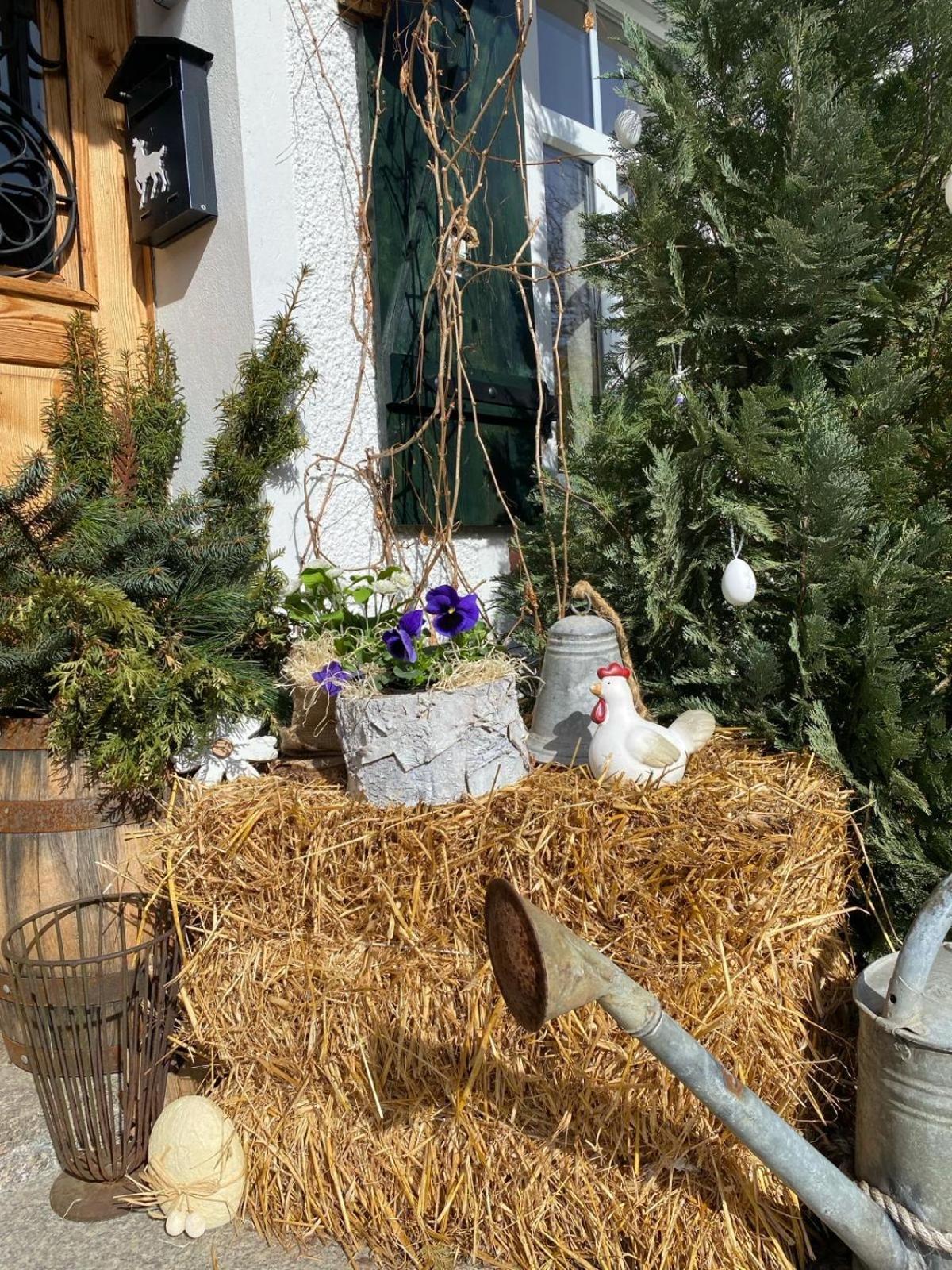 Apartamenty Sudeckie Nad Zalewem I Sosnówka Buitenkant foto