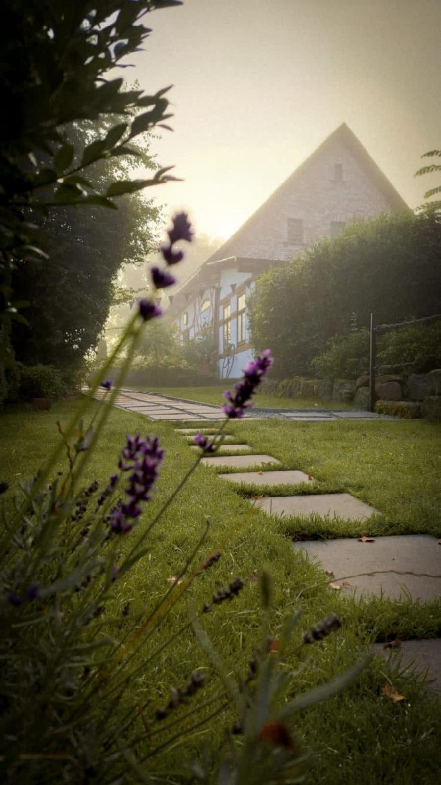 Apartamenty Sudeckie Nad Zalewem I Sosnówka Buitenkant foto